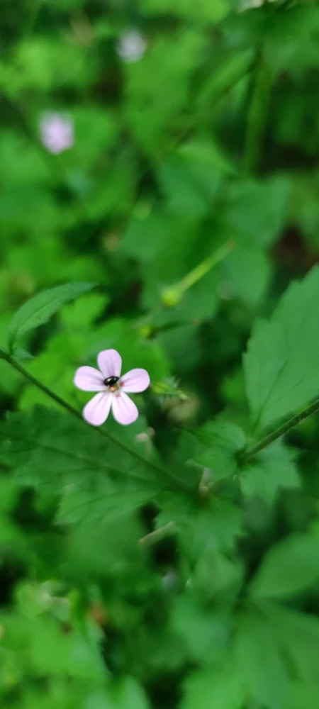 Image ajoutée par Stef