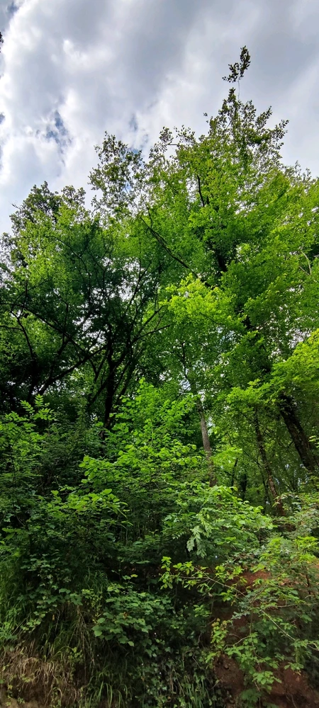 Image ajoutée par Stef