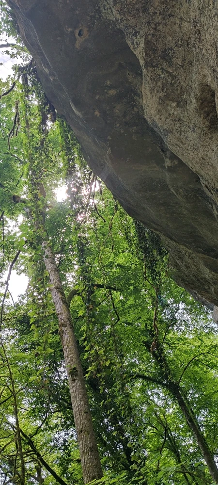 Image ajoutée par Stef