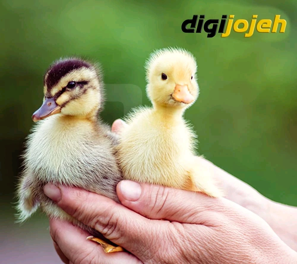 GIF آپلود شده توسط زهرا