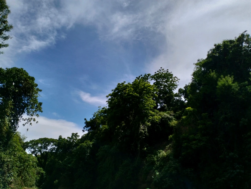 Image uploaded by Joy