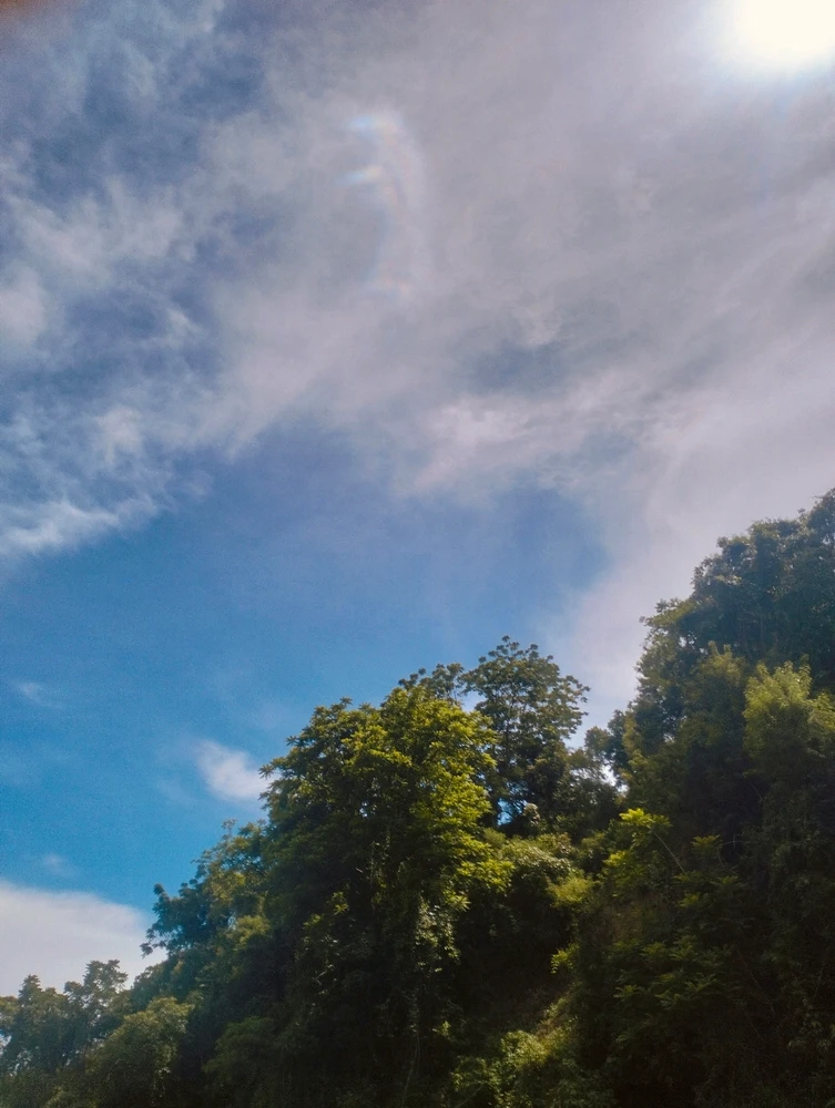 Image uploaded by Joy