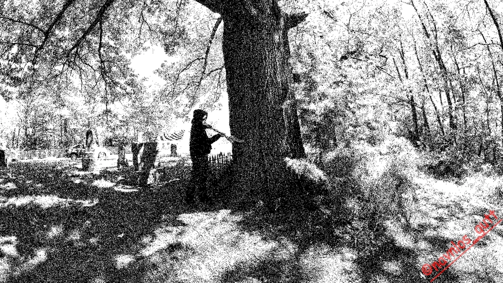 GIF uploaded by Mike