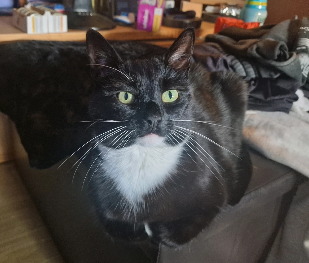 GIF uploaded by Eric