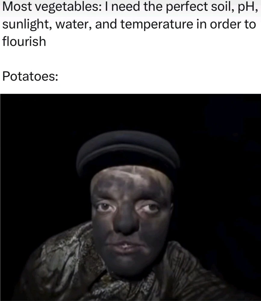 Nuotrauką įkėlė Stepas