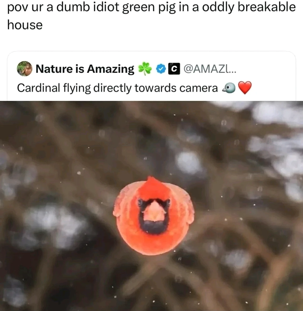 Nuotrauką įkėlė Stepas