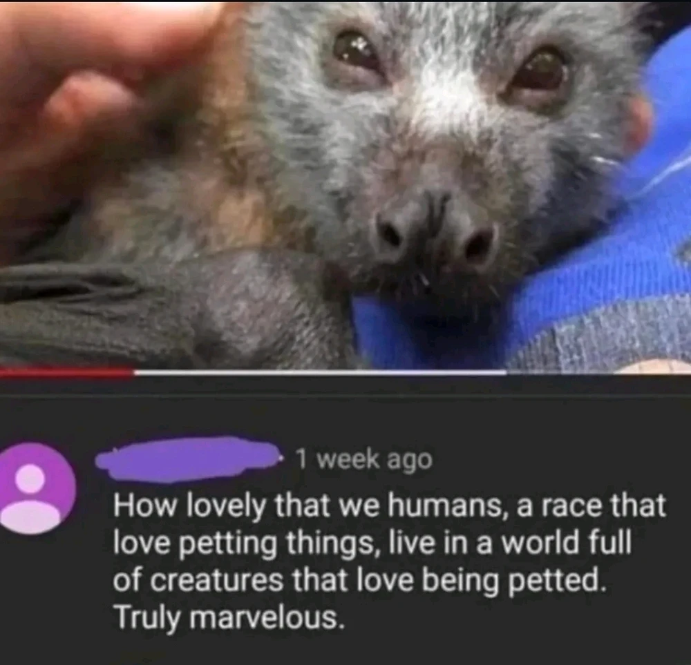 Nuotrauką įkėlė Stepas