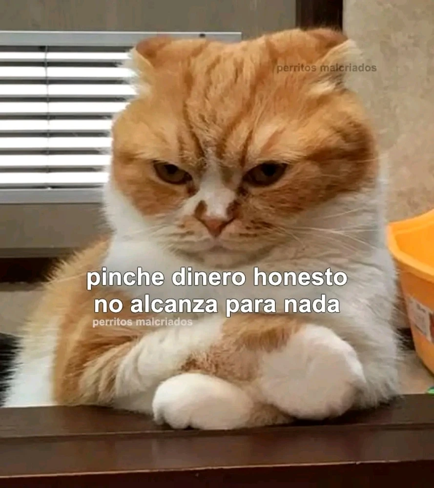 GIF subido por ❤ Sophia aka Mango Mami ❤️