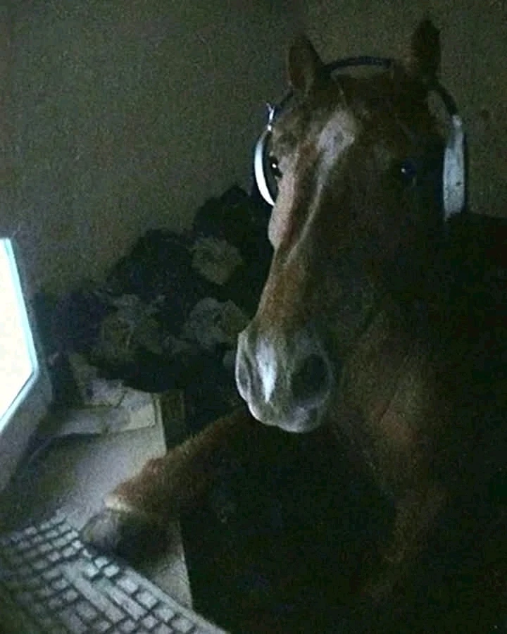 GIF uploaded by Alexandros