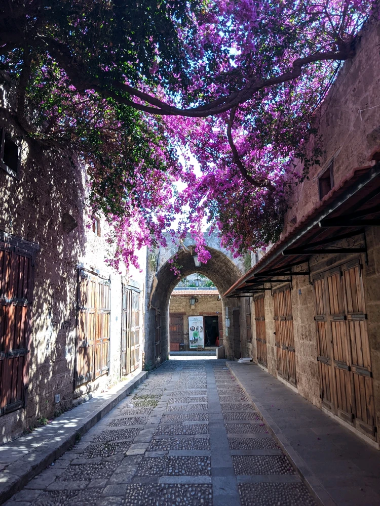 Image uploaded by Hasan