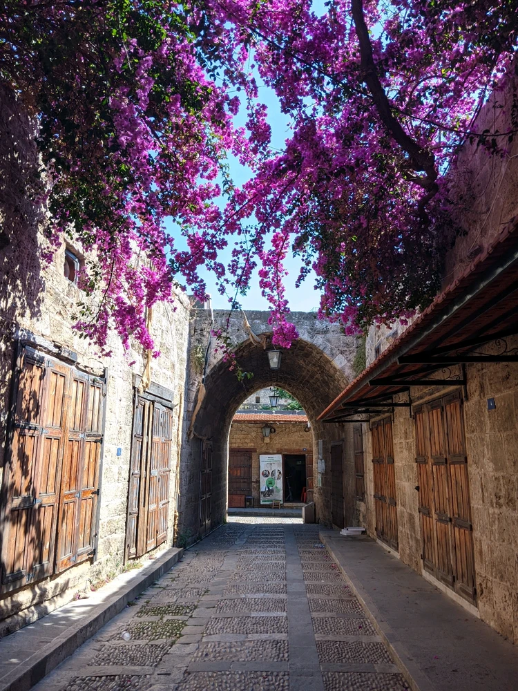 Image uploaded by Hasan