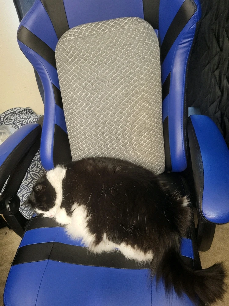 GIF uploaded by Dylan