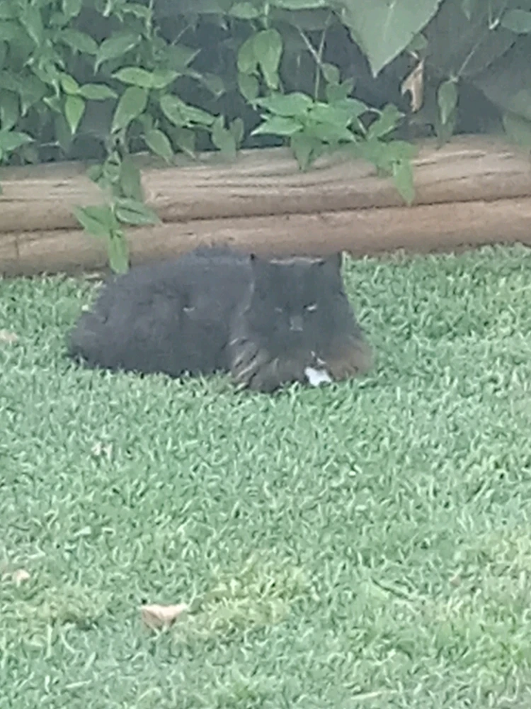 GIF uploaded by Mr. Bone.