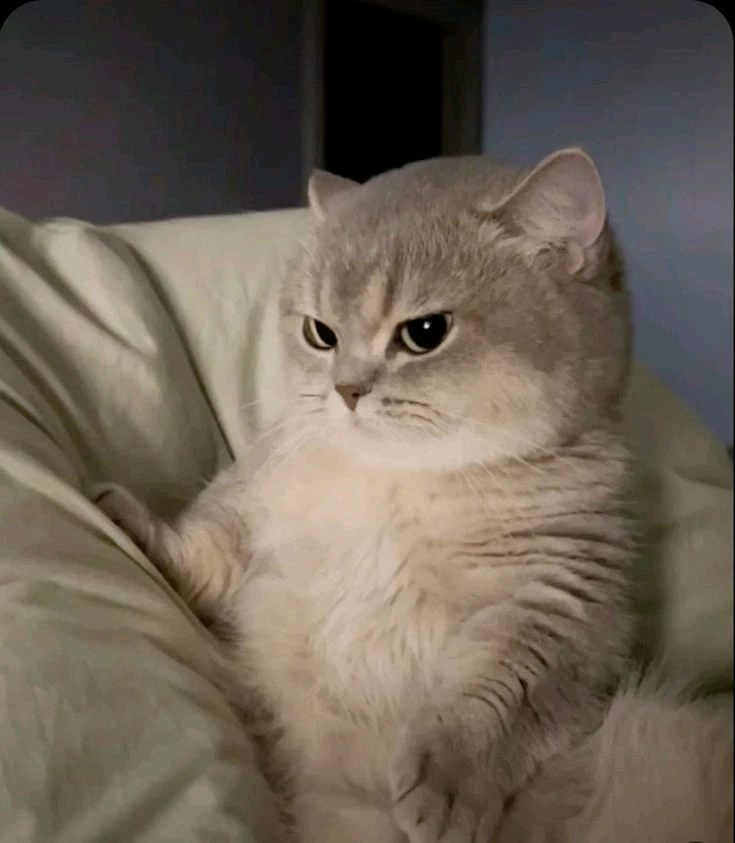 NaomiがアップロードしたGIF