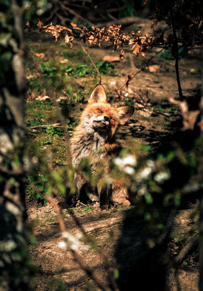 GIF hochgeladen von Torben