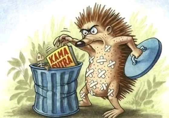 GIF hochgeladen von Doris