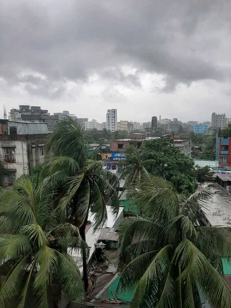 Ashfi Rahman আপলোড করা GIF