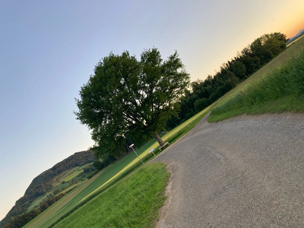 Bild hochgeladen von Ryan
