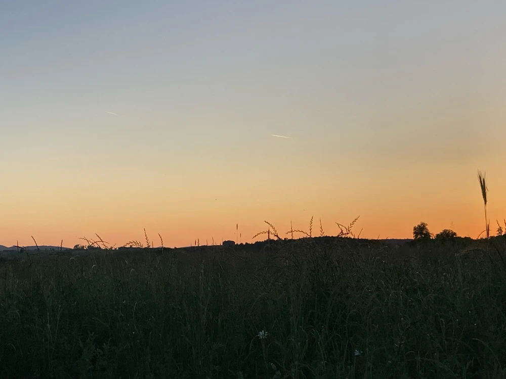 Bild hochgeladen von Ryan