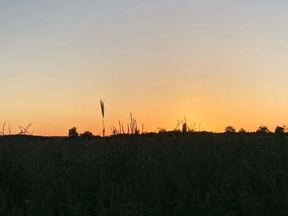 Bild hochgeladen von Ryan