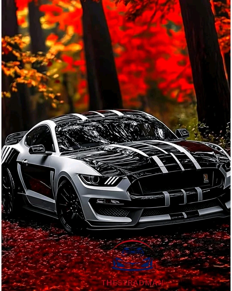 Nuotrauką įkėlė Romualdas