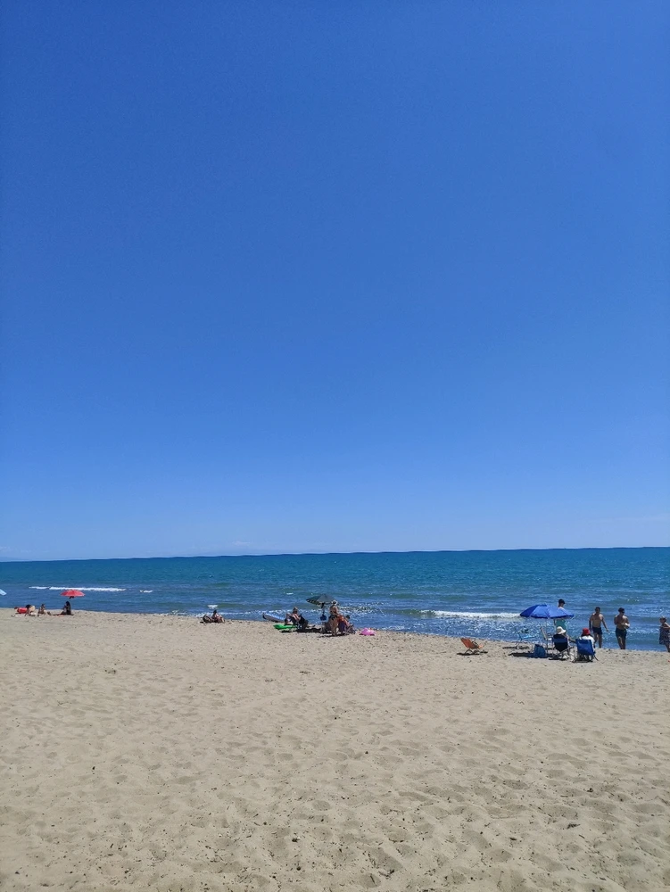 Immagine caricata da CX