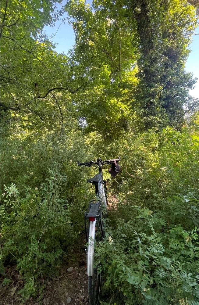 GIF ajouté par AudeKazoo