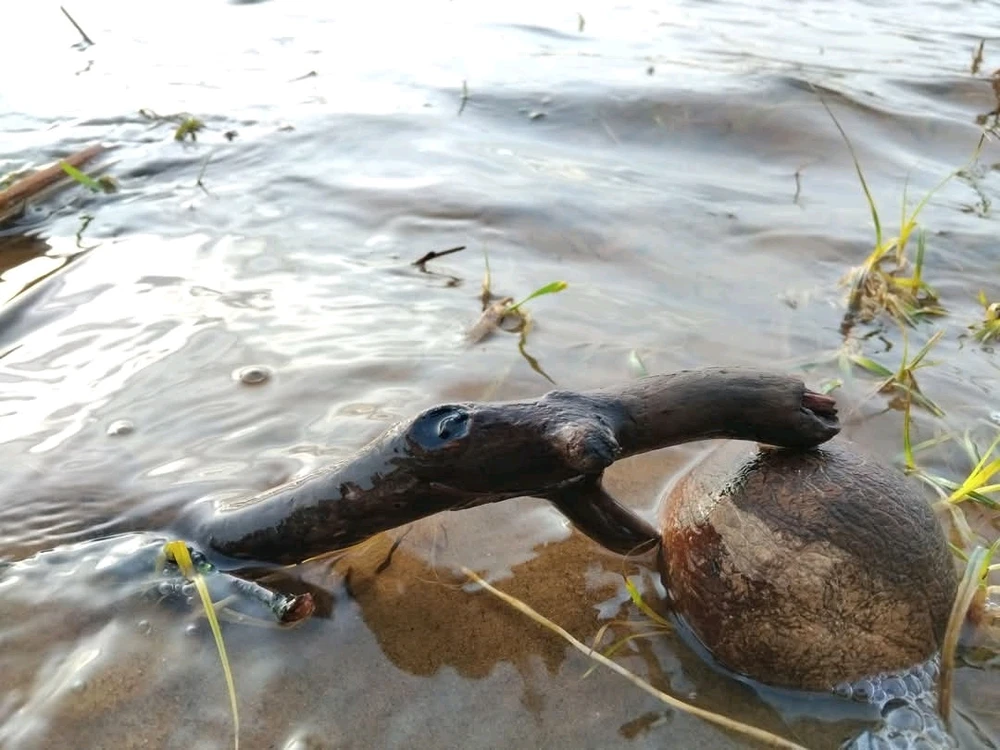 GIF uploaded by Artis