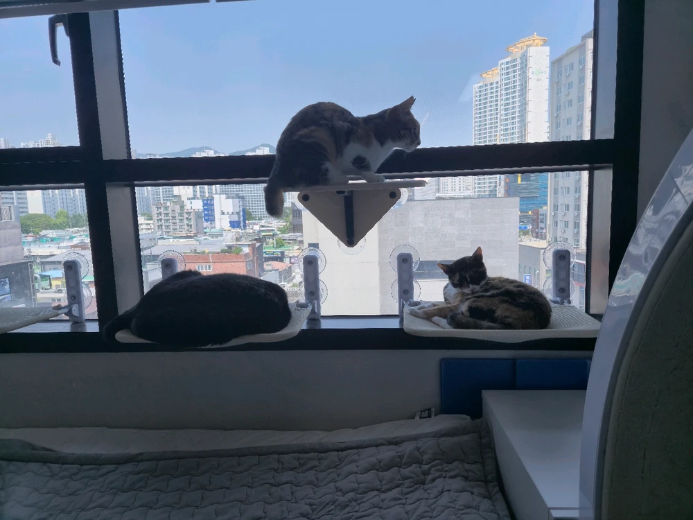 Jean님이 올린 사진