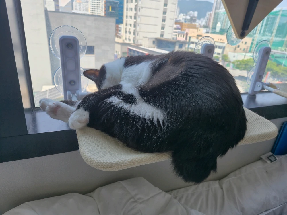 Jean님이 올린 사진