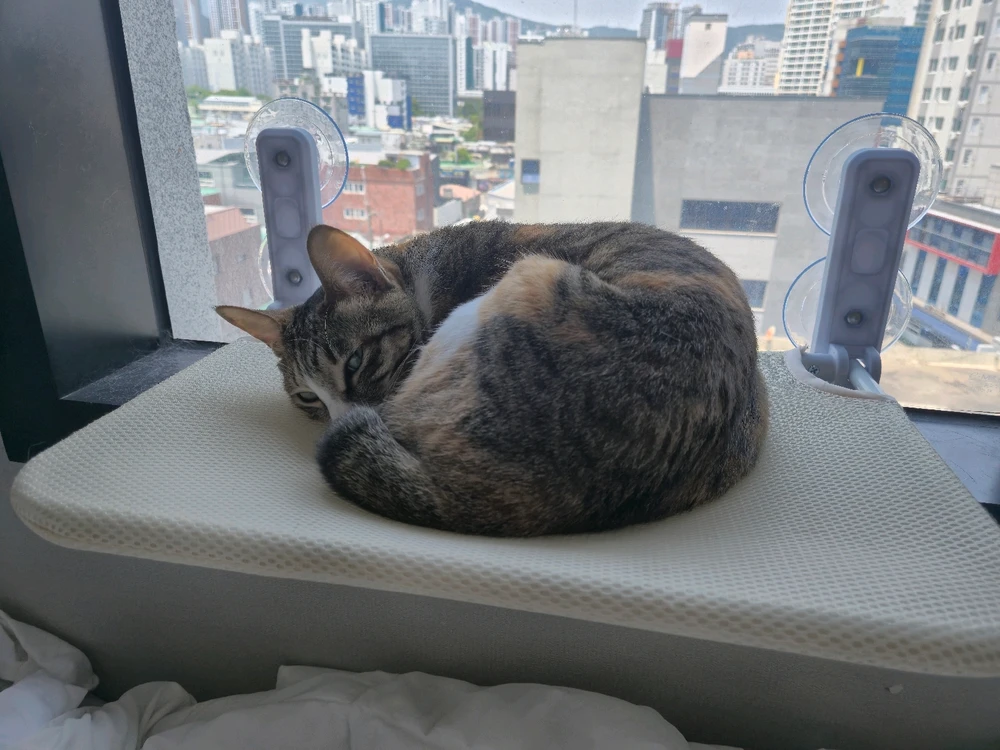 Jean님이 올린 사진