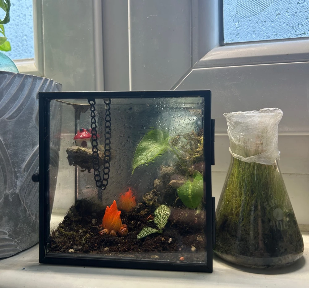 GIF hochgeladen von Noah