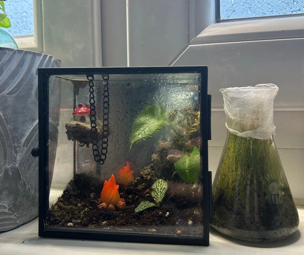 GIF hochgeladen von Noah