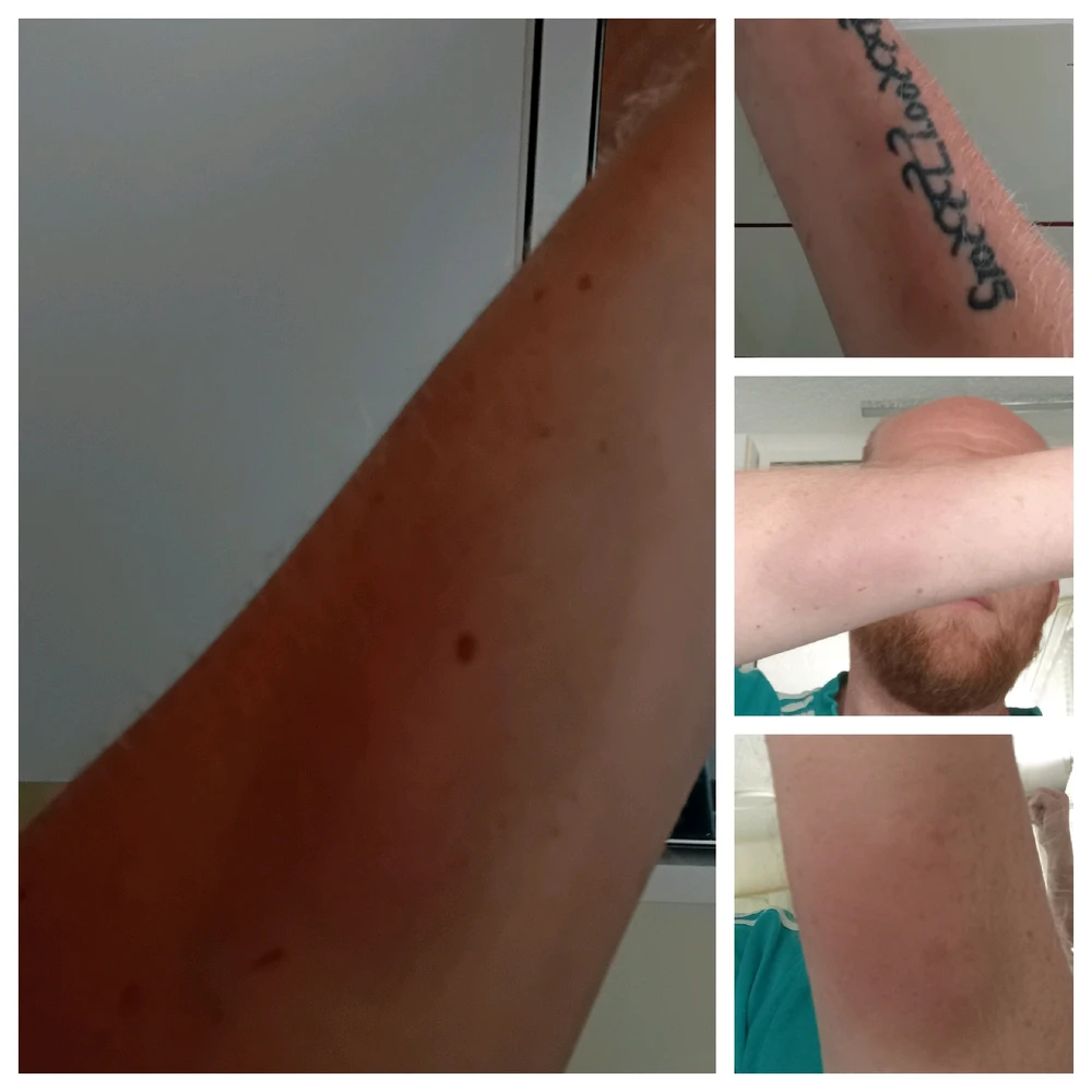 Bild hochgeladen von Steven