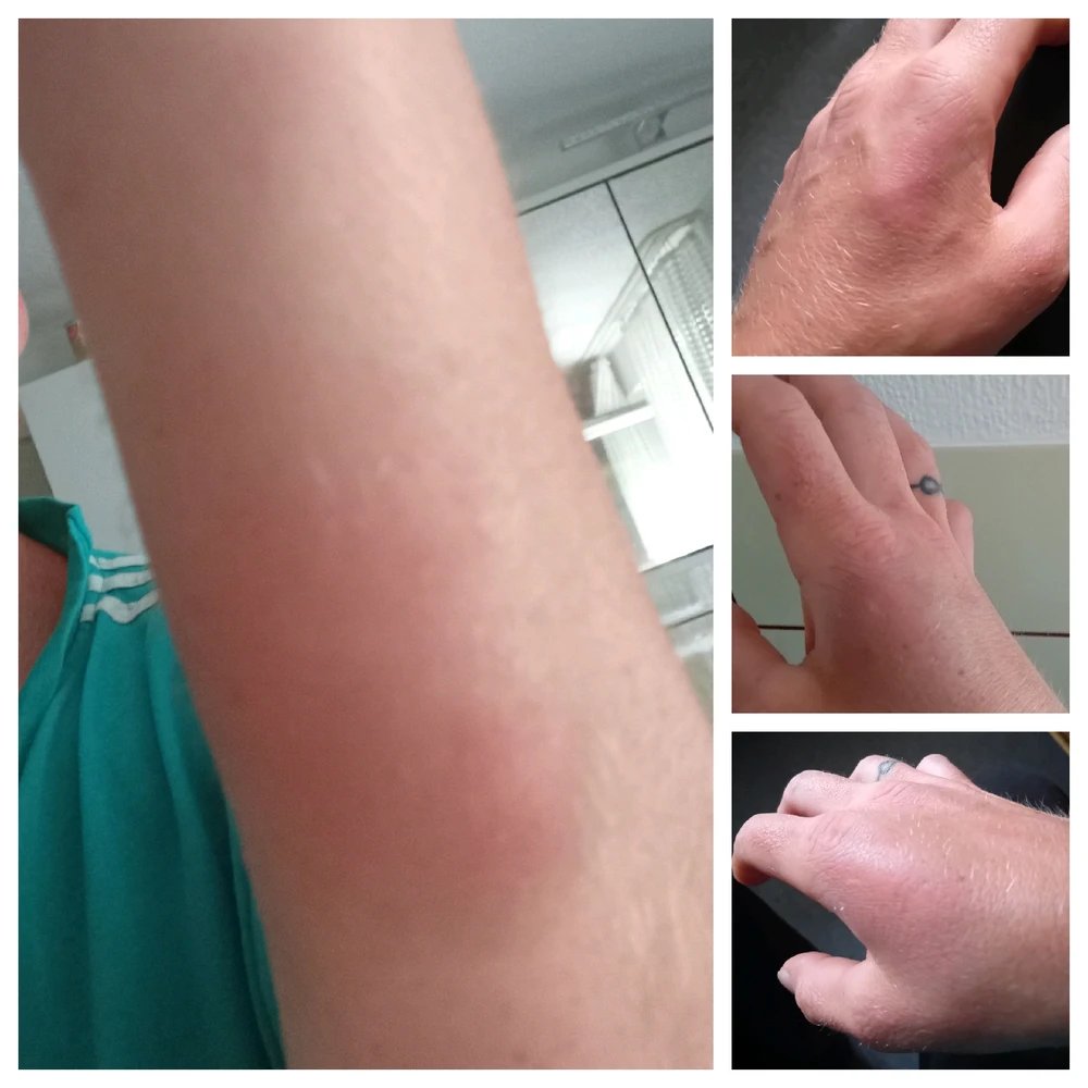 Bild hochgeladen von Steven