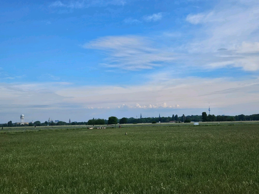 GIF hochgeladen von Sylwia