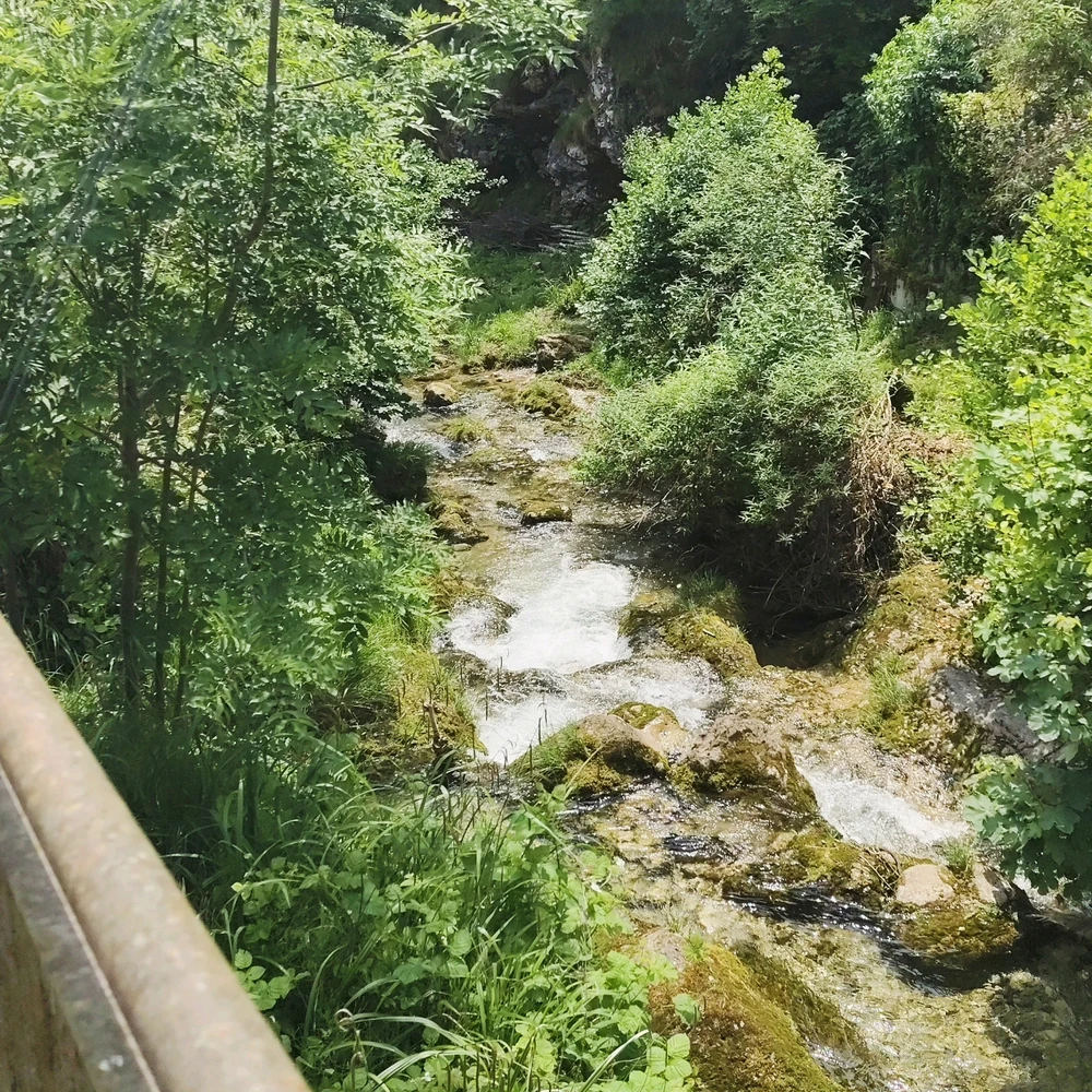 Immagine caricata da Alessandro