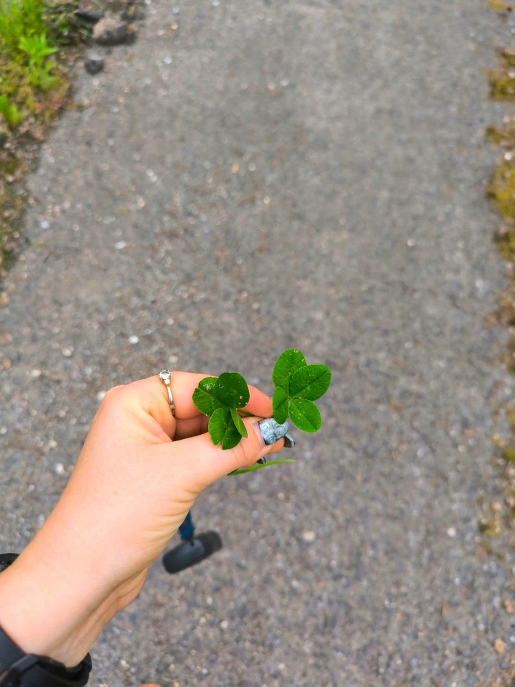 Obrázek nahrál Helenka - Wensdy