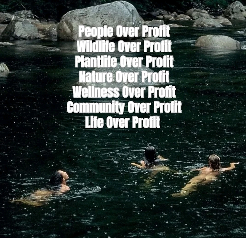 Demokratischer Sozialismus