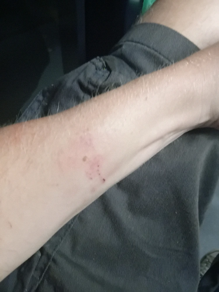 Bild hochgeladen von Steven