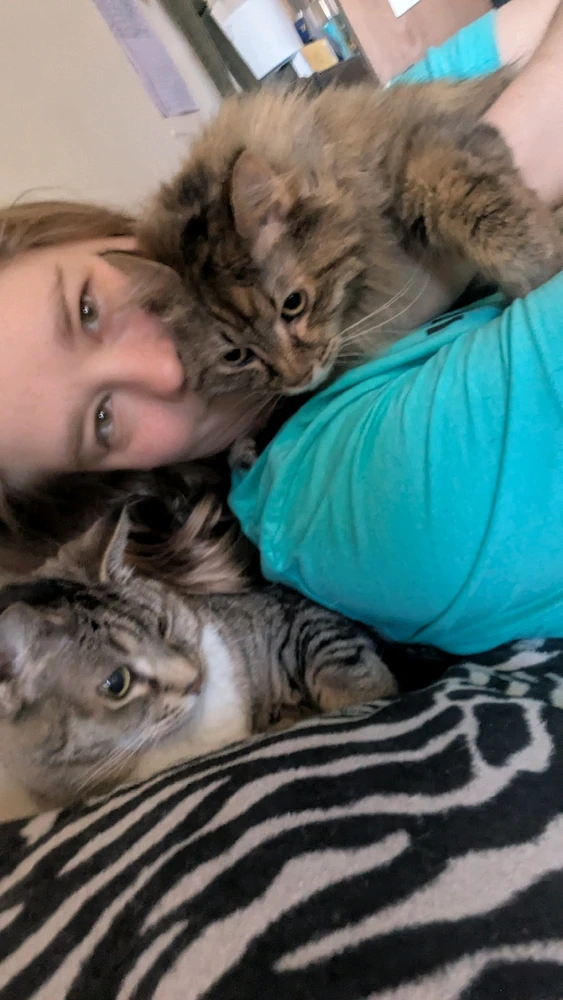 GIF uploaded by Kiley