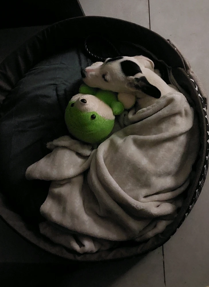 GIF enviado por Bruna