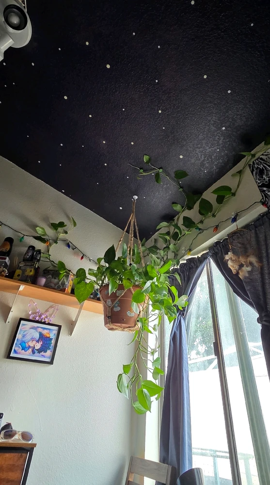 Image uploaded by Paloma