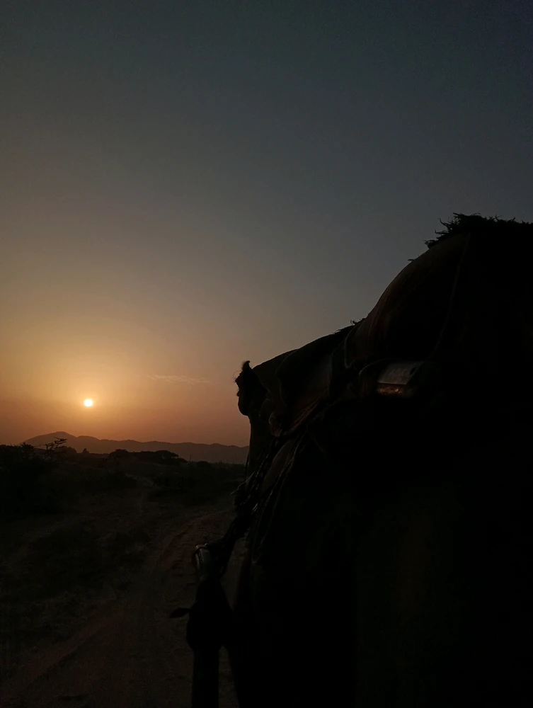 Image uploaded by Speed