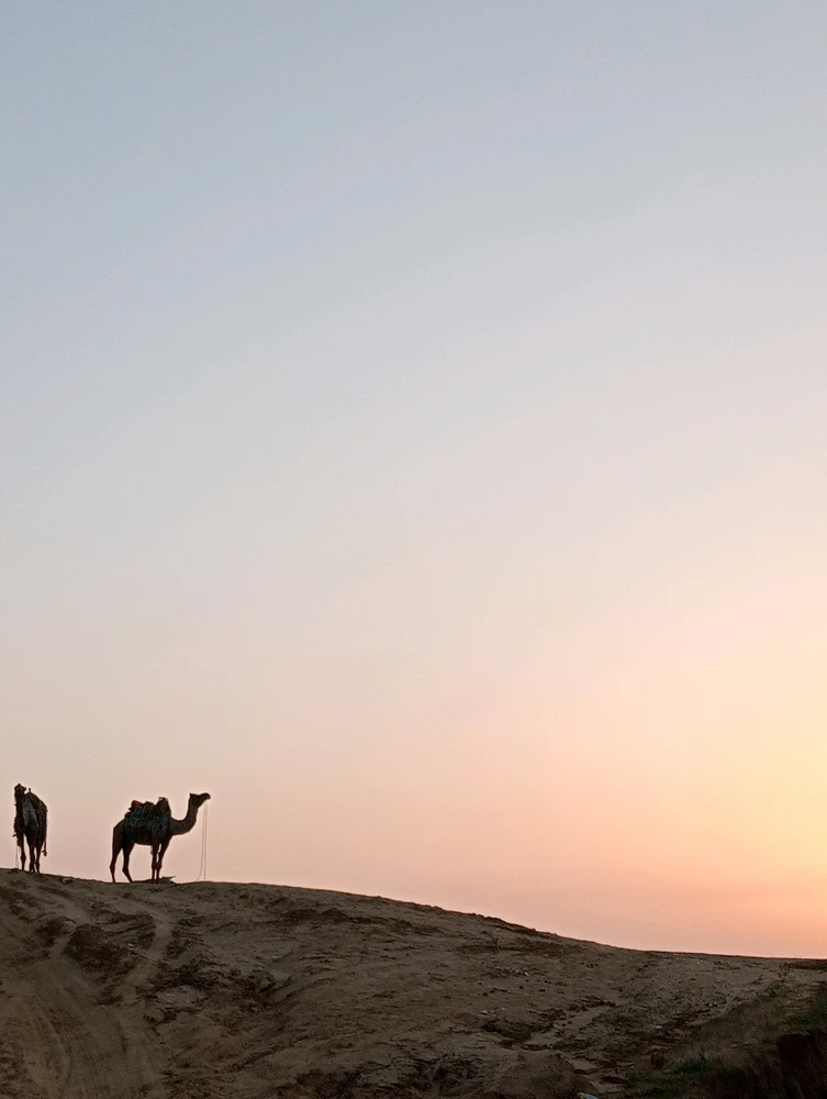 Image uploaded by Speed