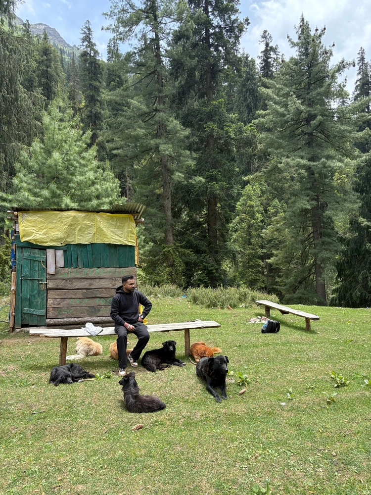 Image uploaded by Harry Rana