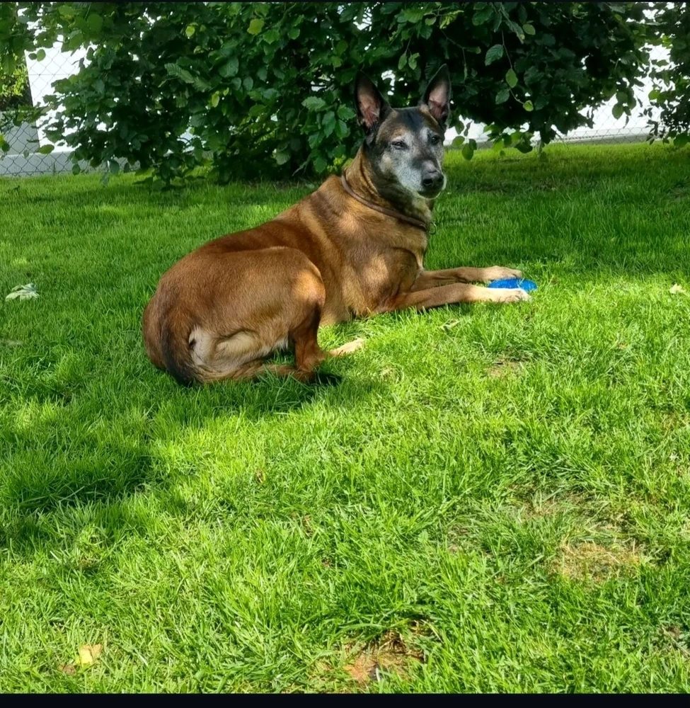 GIF hochgeladen von Michelle