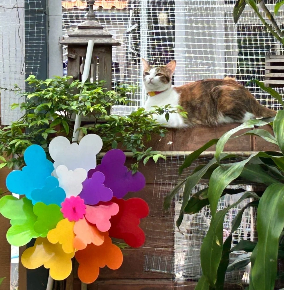 GIF uploaded by Pat♡