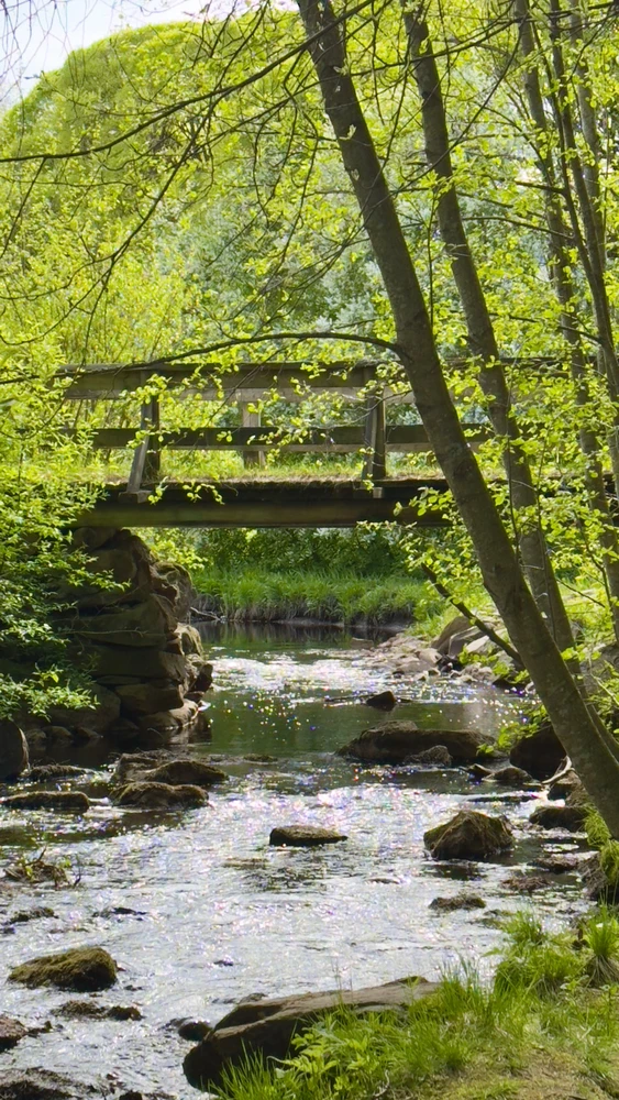 GIF-tiedoston lisäsi Jukka