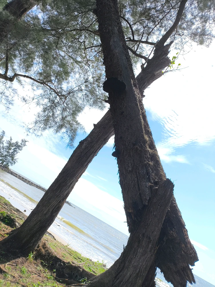 Gambar diunggah dening Arkanos